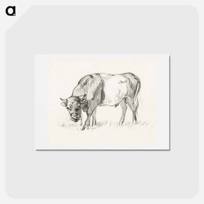 アートポストカード-Grazing bull - ジャン ベルナール Postcard.