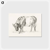 アートポストカード-Grazing bull - ジャン ベルナール Postcard.