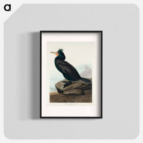 アートポスター-Double-crested Cormorant
 - ジョン ジェームス オーデュボン Poster.