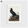 アートポストカード-Double-crested Cormorant
 - ジョン ジェームス オーデュボン Postcard.