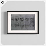 アートポスター-Evolution of the Head and Skull
 - 国立医学図書館 Poster.