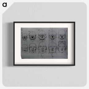 アートポスター-Evolution of the Head and Skull
 - 国立医学図書館 Poster.