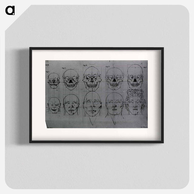 アートポスター-Evolution of the Head and Skull
 - 国立医学図書館 Poster.