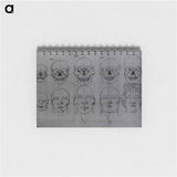 アートメモ帳-Evolution of the Head and Skull
 - 国立医学図書館 Memo.