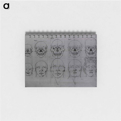 アートメモ帳-Evolution of the Head and Skull
 - 国立医学図書館 Memo.