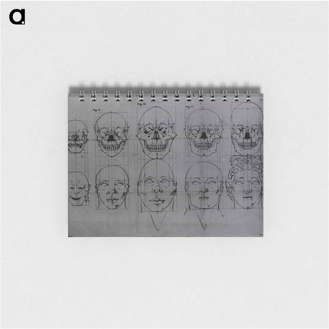 アートメモ帳-Evolution of the Head and Skull
 - 国立医学図書館 Memo.