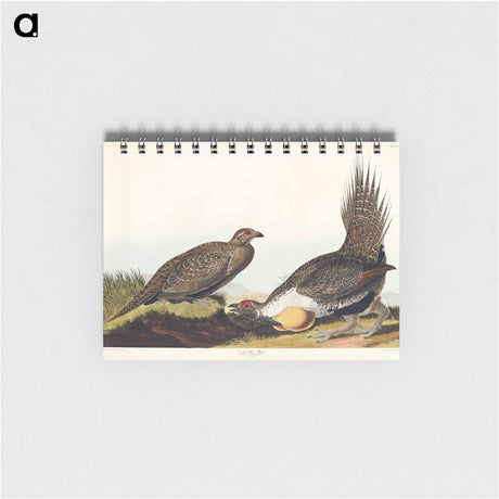 アートメモ帳-Cock of the Plains from Birds of America
 - アメリカの鳥たち Memo.