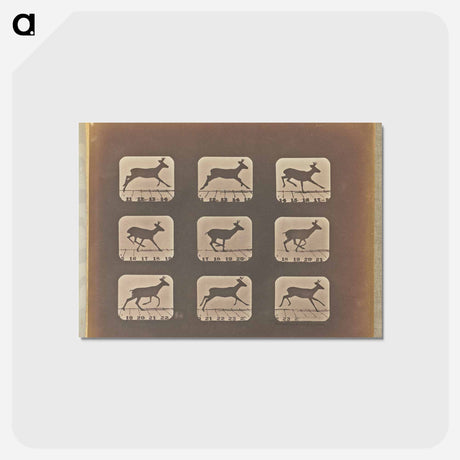 アートポストカード-Running
 - エドワード マイブリッジ Postcard.
