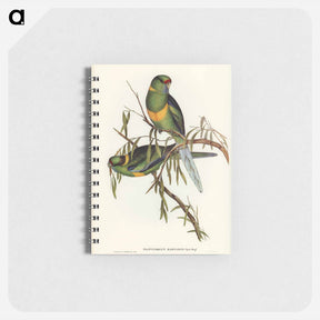 アートメモ帳-Black-tailed Parakeet
 - ジョン グールド Memo.