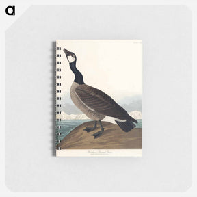 アートメモ帳-Hutchins's Barnacle Goose
 - ジョン ジェームス オーデュボン Memo.