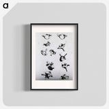 アートポスター-Vertebrae
 - 国立医学図書館 Poster.
