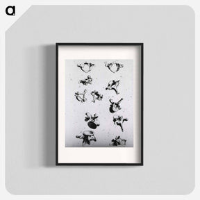 アートポスター-Vertebrae
 - 国立医学図書館 Poster.