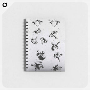 アートメモ帳-Vertebrae
 - 国立医学図書館 Memo.