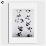 アートポスター-Vertebrae
 - 国立医学図書館 Poster.