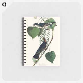 アートメモ帳-Tyrant Fly-catcher from Birds of America
 - アメリカの鳥たち Memo.