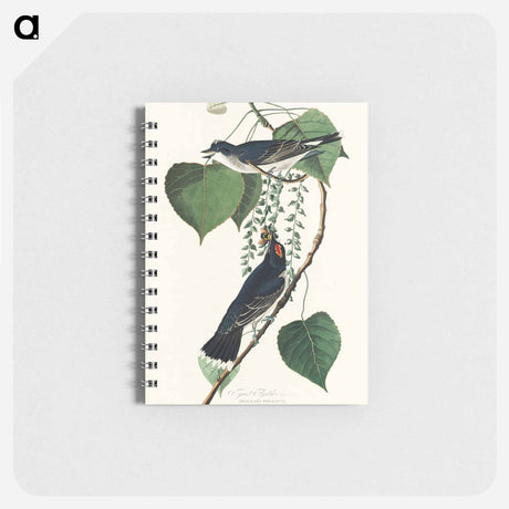 アートメモ帳-Tyrant Fly-catcher from Birds of America
 - アメリカの鳥たち Memo.