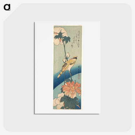 アートポストカード-Black-Naped Oriole on a Stem of Rose Mallow
 - 歌川 広重 Postcard.