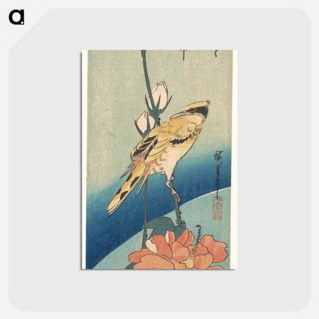 アートポストカード-Black-Naped Oriole on a Stem of Rose Mallow
 - 歌川 広重 Postcard.