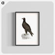 アートポスター-Mountain Eagle
 - 大英図書館 Poster.