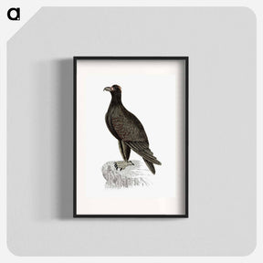 アートポスター-Mountain Eagle
 - 大英図書館 Poster.