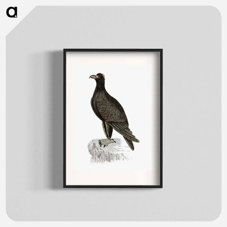 アートポスター-Mountain Eagle
 - 大英図書館 Poster.