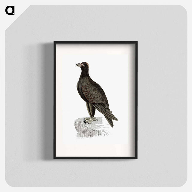 アートポスター-Mountain Eagle
 - 大英図書館 Poster.