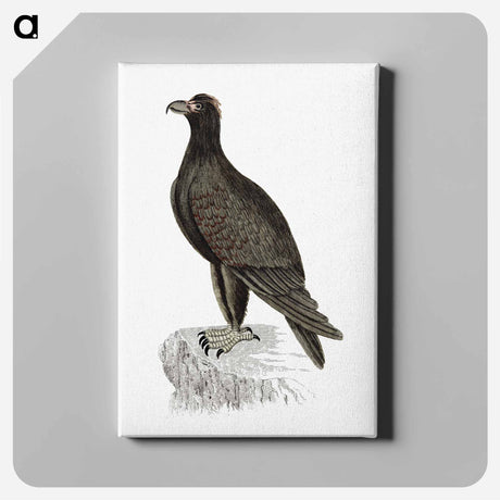 アートパネル-Mountain Eagle
 - 大英図書館 Canvas.