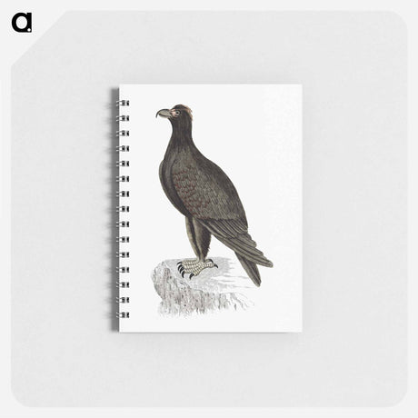 アートメモ帳-Mountain Eagle
 - 大英図書館 Memo.