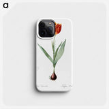 Tulip illustration from Les liliacées - Pierre Joseph Redouté Phone Case.