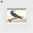 アートメモ帳-Noddy Tern from Birds of America
 - アメリカの鳥たち Memo.