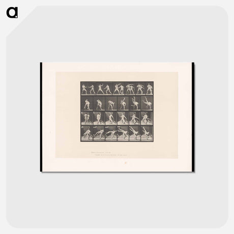 アートポストカード-Wrestling Match
 - エドワード マイブリッジ Postcard.
