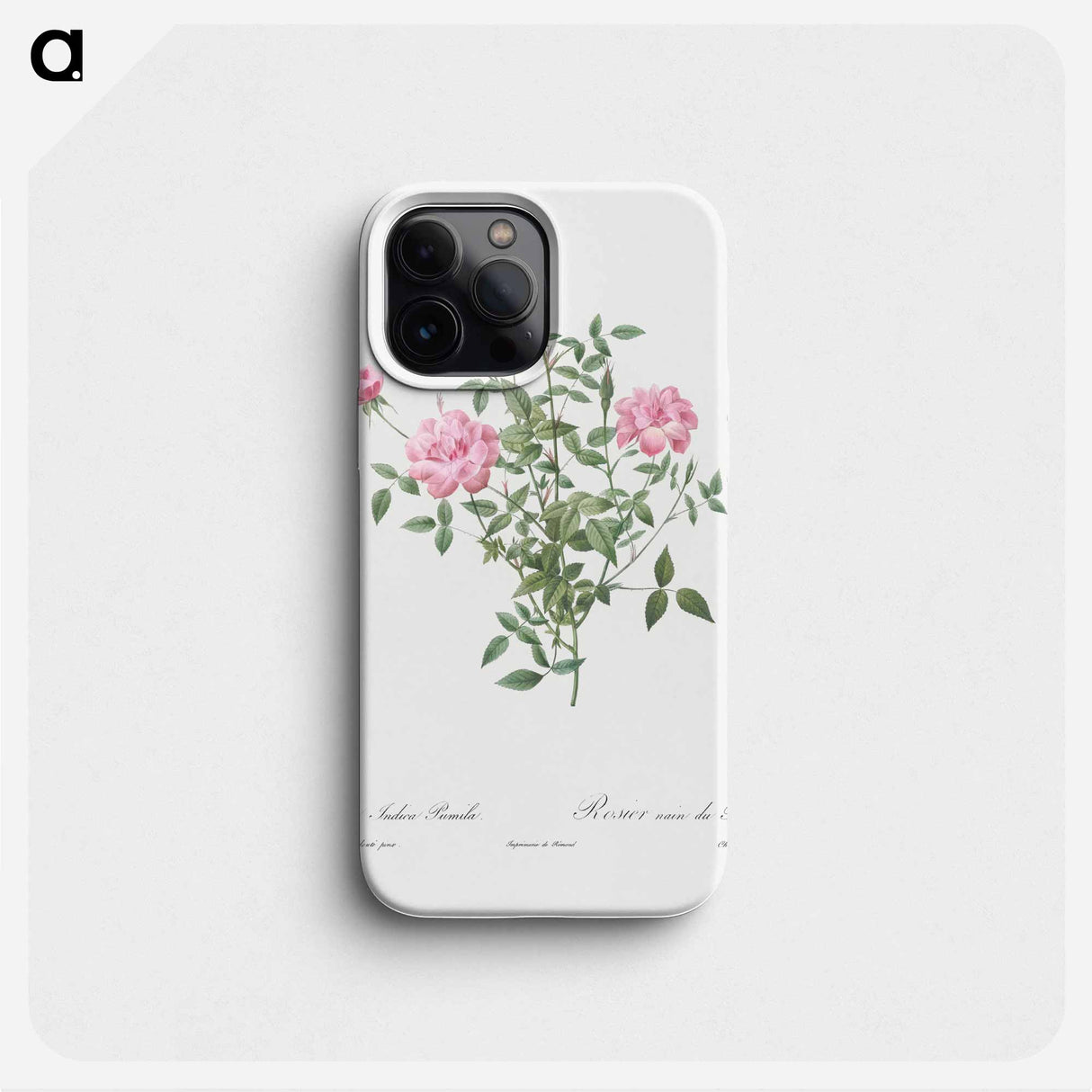 Double Miniature Rose - Pierre Joseph Redouté Phone Case.