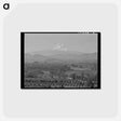 アートポストカード-Orchards in Hood River Valley
 - ラッセル リー Postcard.