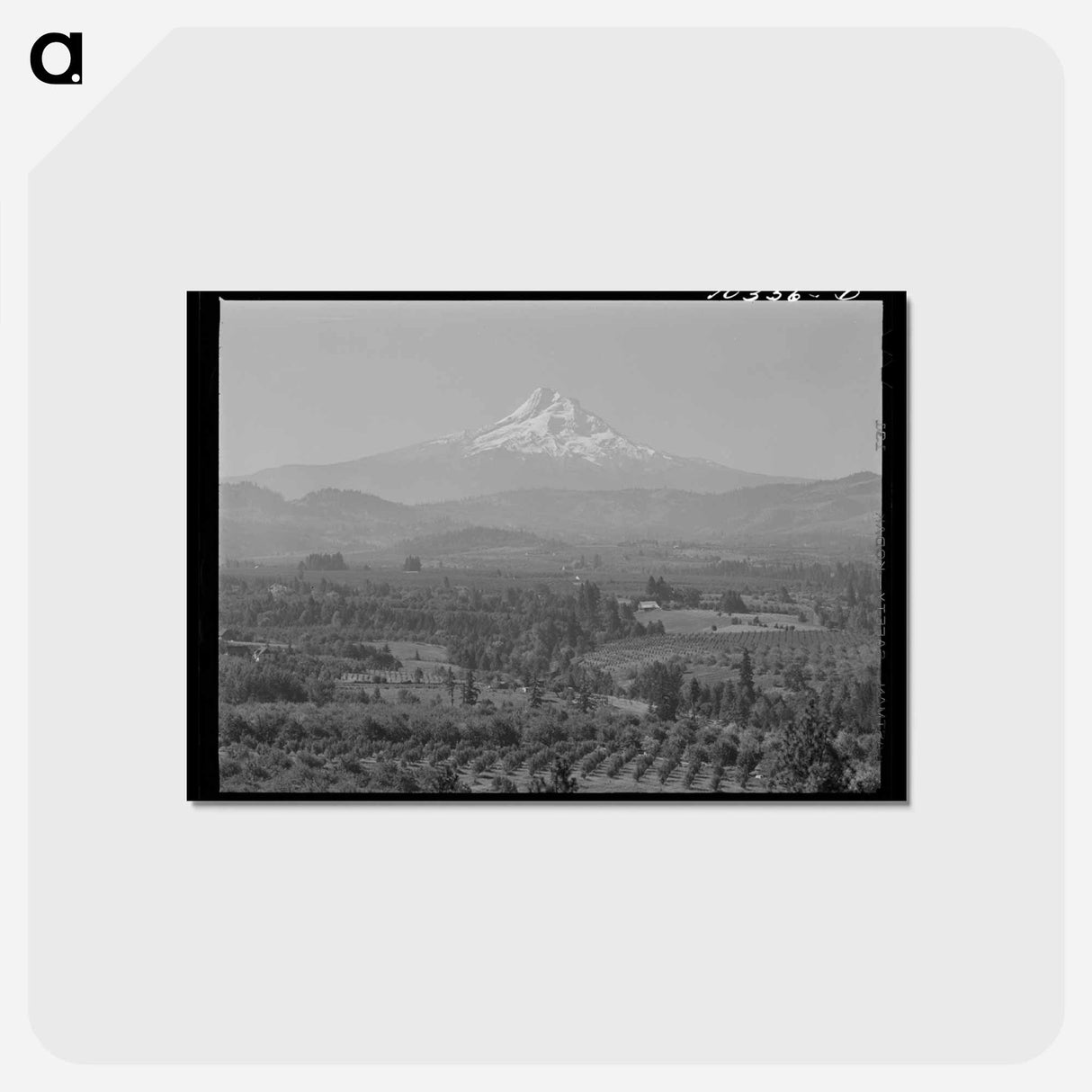 アートポストカード-Orchards in Hood River Valley
 - ラッセル リー Postcard.