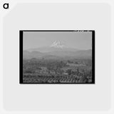 アートポストカード-Orchards in Hood River Valley
 - ラッセル リー Postcard.
