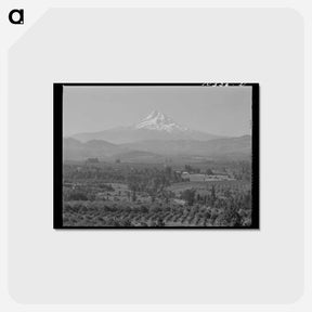 アートポストカード-Orchards in Hood River Valley
 - ラッセル リー Postcard.