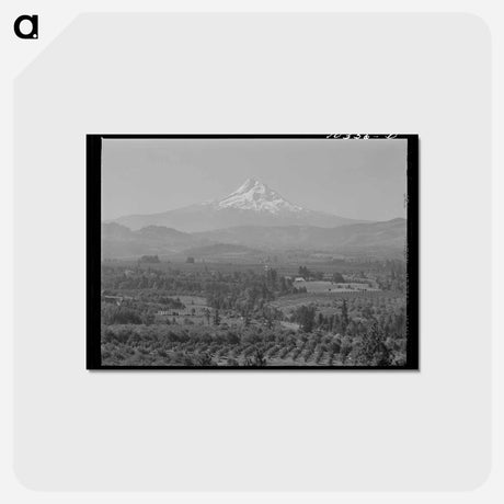 アートポストカード-Orchards in Hood River Valley
 - ラッセル リー Postcard.