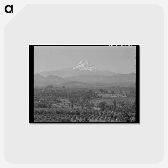 アートポストカード-Orchards in Hood River Valley
 - ラッセル リー Postcard.