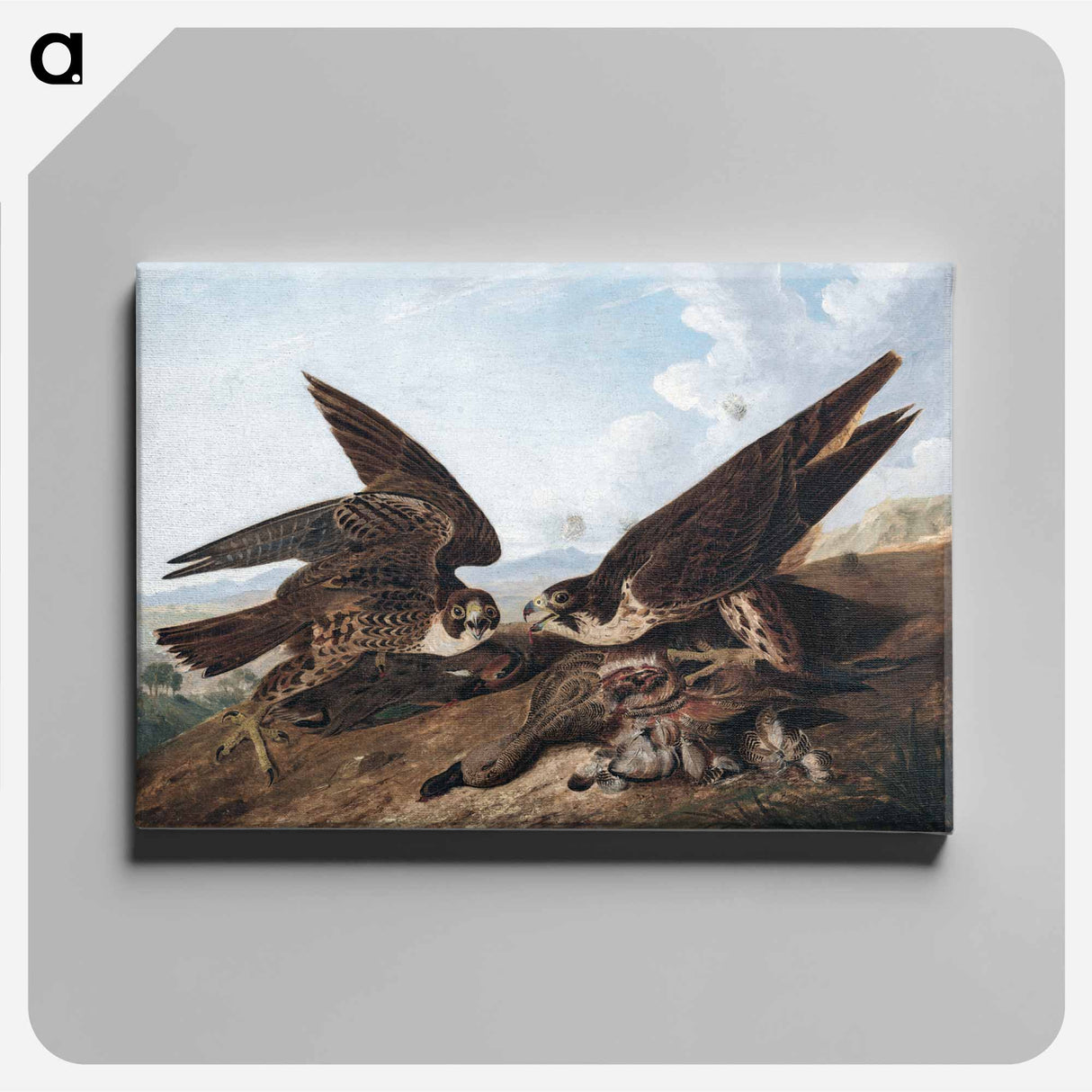 アートパネル-Peregrine Falcons
 - クリーブランド美術館 Canvas.
