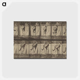 アートポストカード-Animal Locomotion
 - エドワード マイブリッジ Postcard.