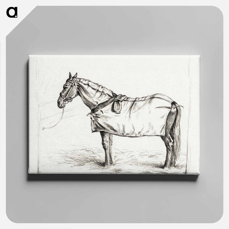 アートパネル-Horse standing in stable with blanket - ジャン ベルナール Canvas.