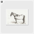 アートポストカード-Horse standing in stable with blanket - ジャン ベルナール Postcard.