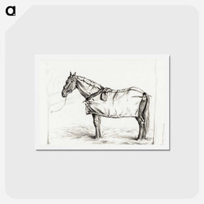 アートポストカード-Horse standing in stable with blanket - ジャン ベルナール Postcard.