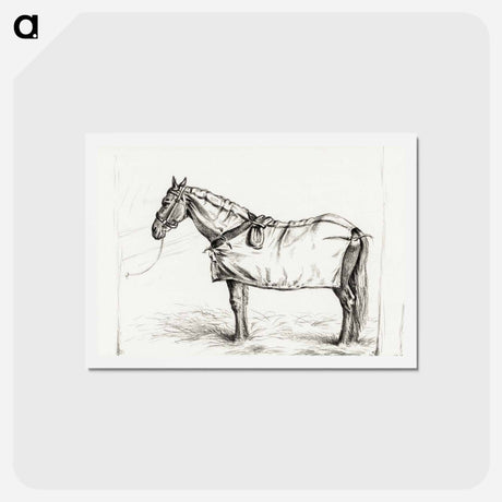 アートポストカード-Horse standing in stable with blanket - ジャン ベルナール Postcard.