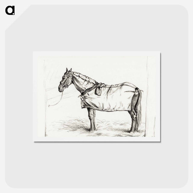 アートポストカード-Horse standing in stable with blanket - ジャン ベルナール Postcard.
