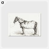 アートポストカード-Horse standing in stable with blanket - ジャン ベルナール Postcard.