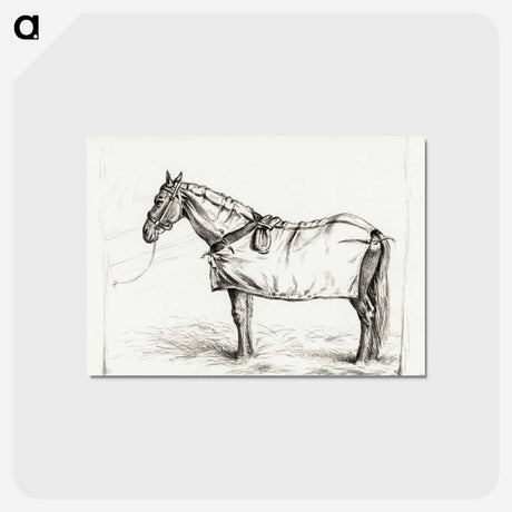 アートポストカード-Horse standing in stable with blanket - ジャン ベルナール Postcard.