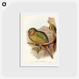 アートポストカード-Kakapo
 - ジョン グールド Postcard.