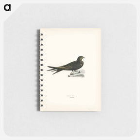 アートメモ帳-Common Swift
 - スヴェンスカ フォグラル Memo.
