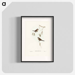 オーストラリア